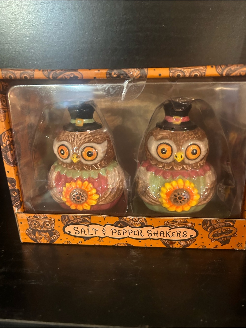 Halloween Owl Salt & Pepper Shaker Set by